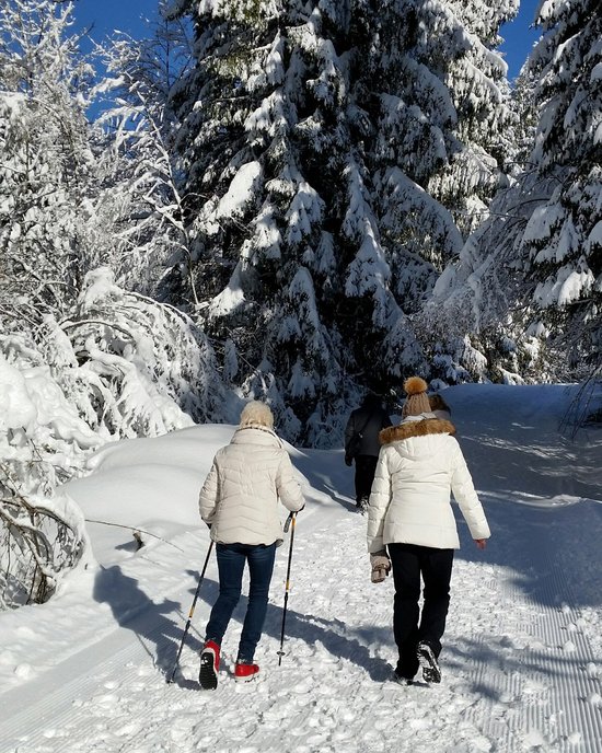 Oberstaufen: Hotel Bayerischer Hof Menschen wandern auf schneebedecktem Waldweg unter sonnigem Himmel
