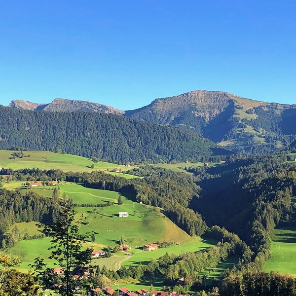 Hochgrath im sommer mit tiefblauem himmel